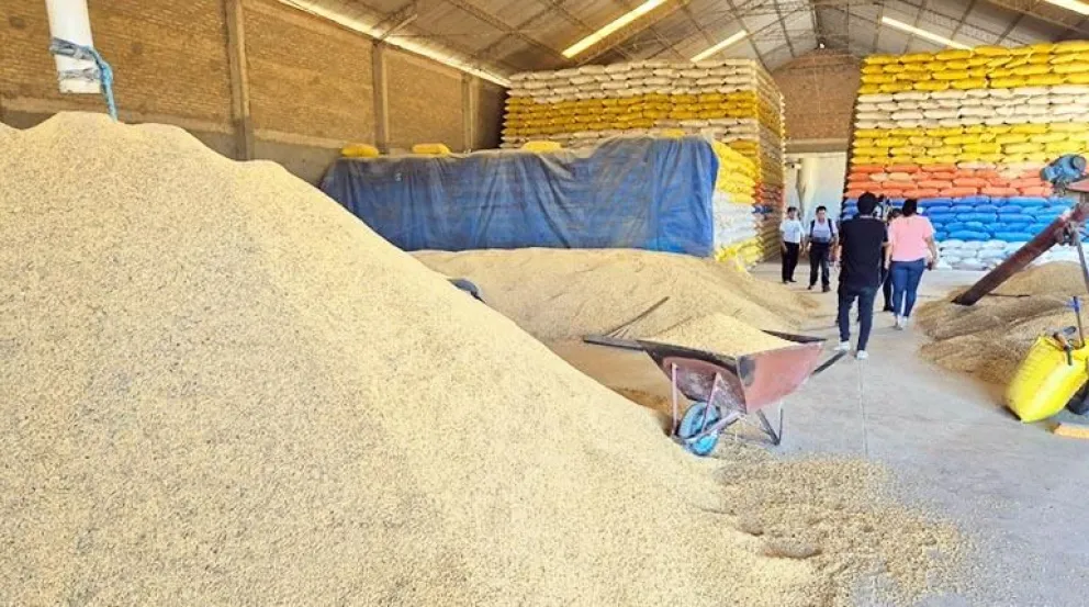 Uno de los cinco ingenios arroceros que fue intervenido la pasada semana. Foto: El Bunker