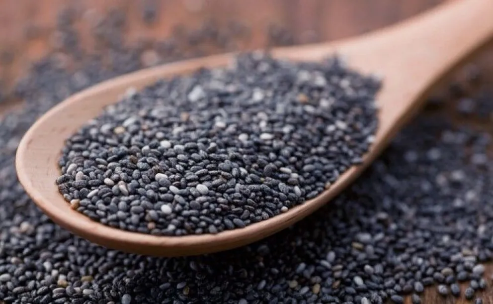 La chía para exportación. Foto: Cancillería de Bolivia