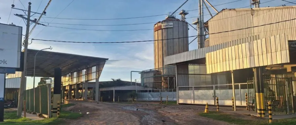 Los productores de arroz se sienten "muy atacados". Foto: Unitel 