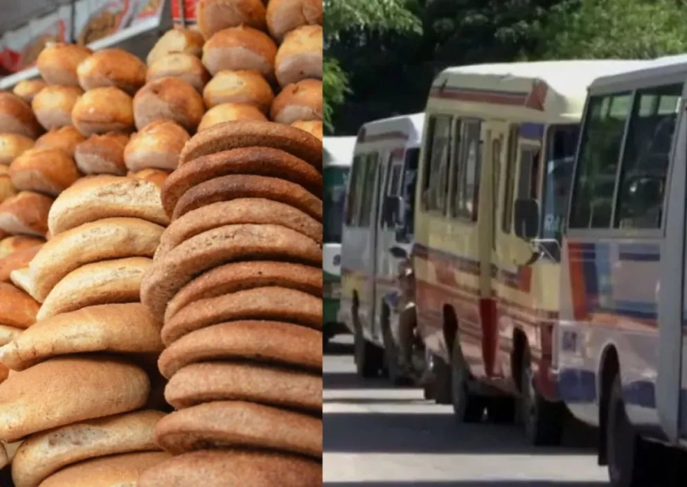 Imagen de panes y de motorizados del transporte público de Santa Cruz Foto: Red Uno y ABI