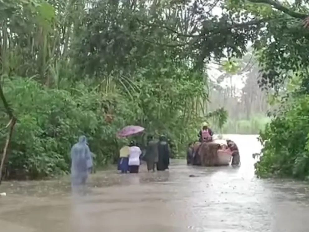 Una imagen del río Venticuatro. Foto: UGR