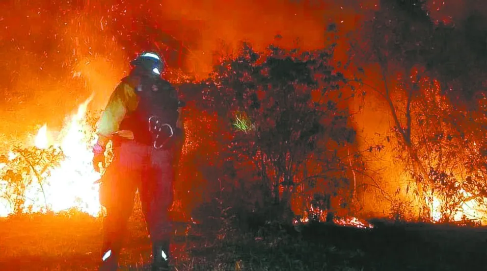 Un incendio forestal en el departamento de Santa Cruz, en septiembre. Foto: APG
