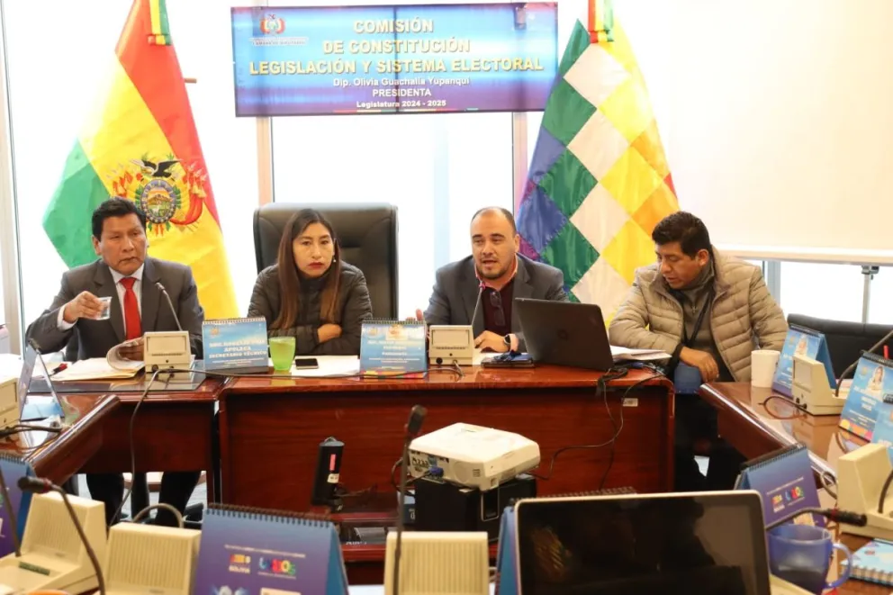 Los vocales del TSE, durante la sesión de la Comisión de Constitución. Foto: Diputados Bolivia