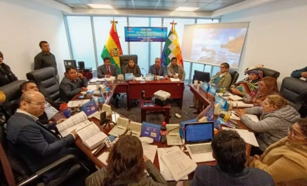 La Comisión de Constitución de la Cámara Baja recibió la explicación del TSE. Foto: Cámara de Diputados