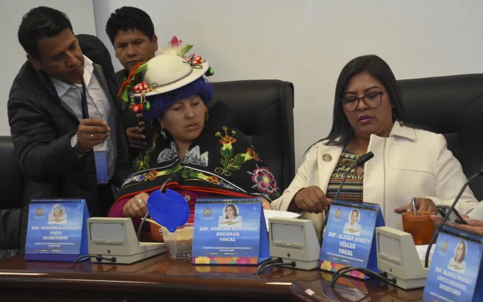 La sesión de la Comisión de Constitución que aprobó ayer el proyecto de ley. Foto: APG