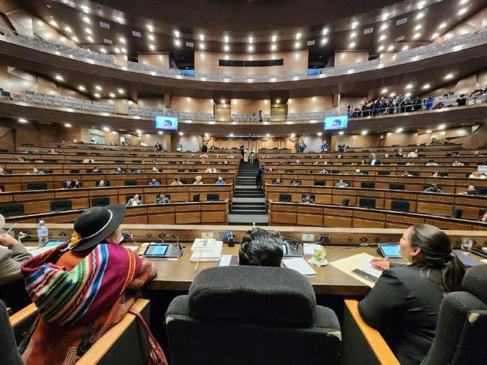 Sesión de Diputados de este viernes. Foto: Diputados 