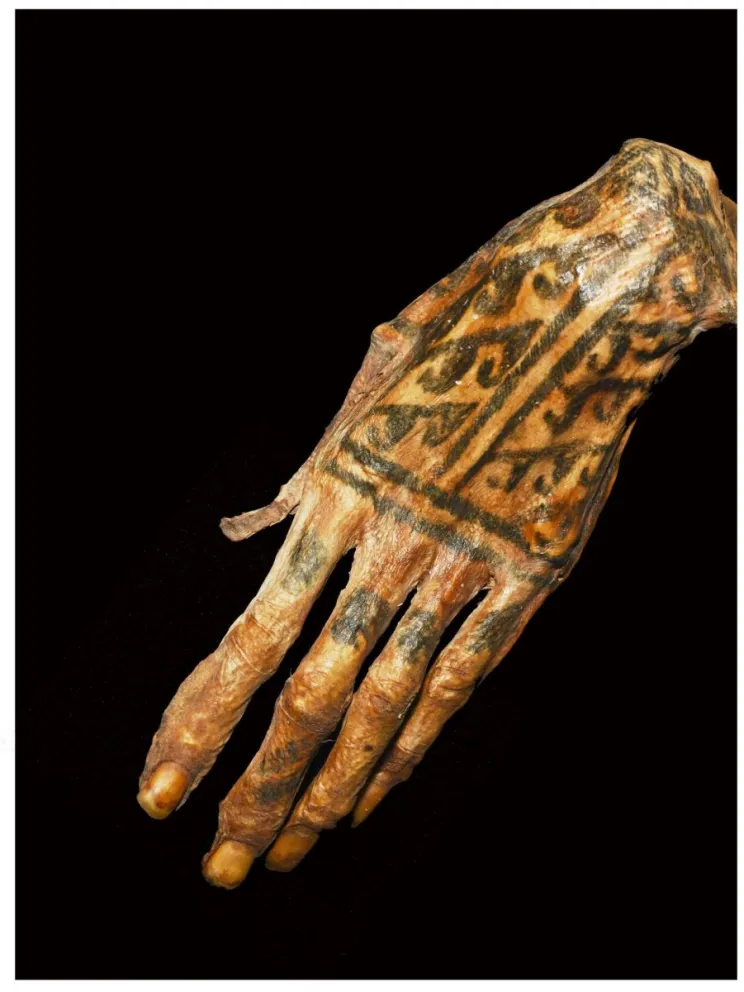 Mano momificada de 1.200 años de antigüedad con tatuajes. Crédito: Michael Pittman y Thomas G Kaye. Foto: EFE