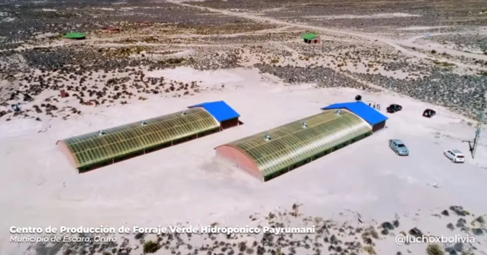 Centro de Producción de Forraje Verde Hidropónico Foto: ABI