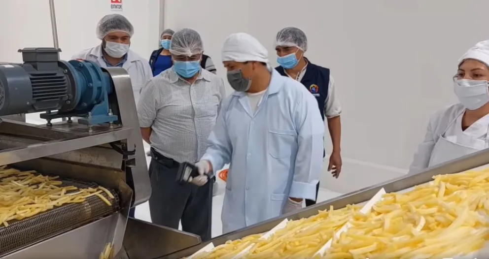 Ambiente de la Planta Procesadora de papa. Foto: Captura de video 