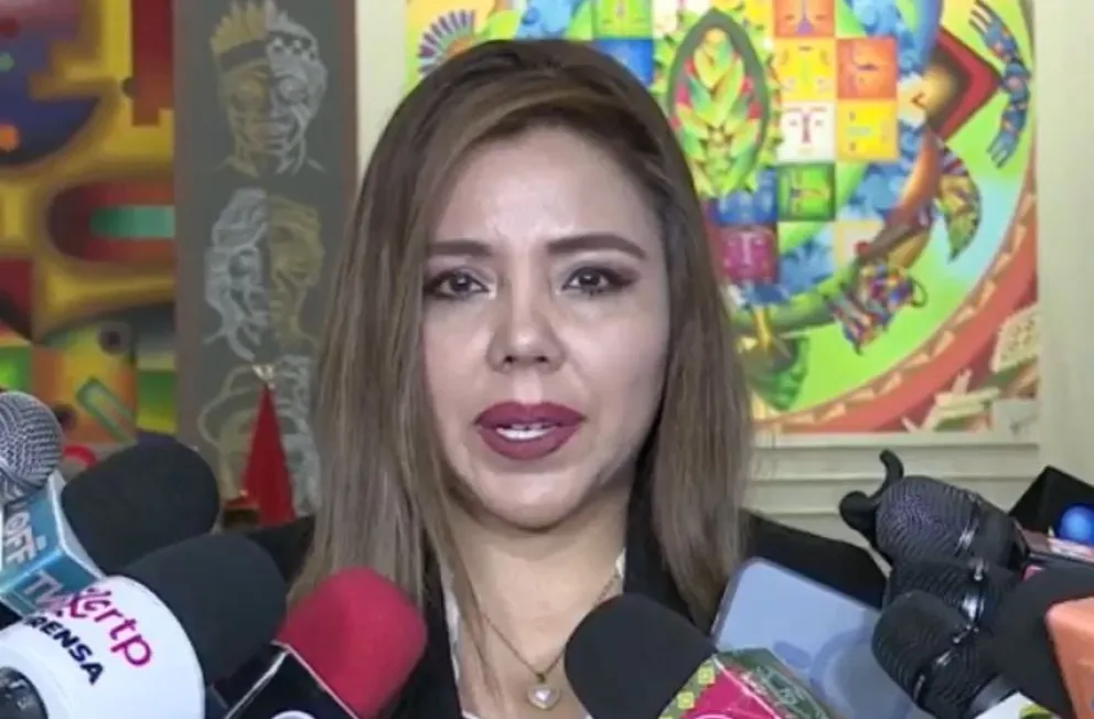 Gabriela Alcón, viceministra de Comunicación. Foto: captura Bolivia tv