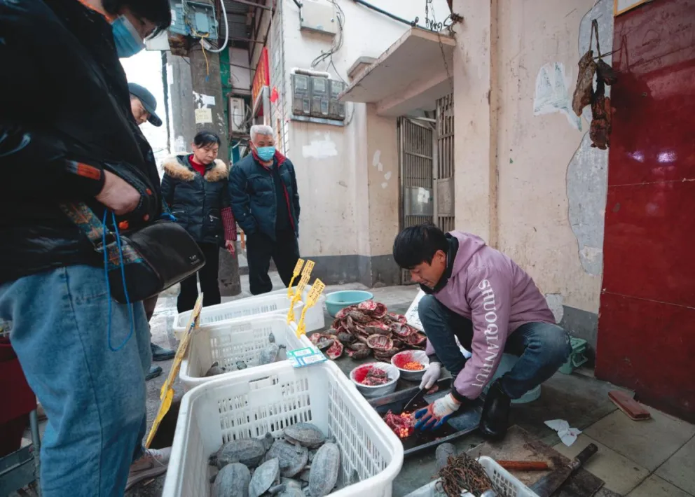 Un hombre vende tortugas en un mercado de Wuhan este 21 de enero. Foto: EFE