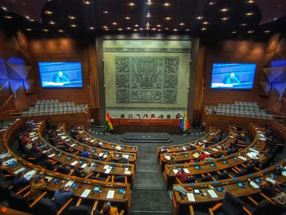 La sesión de los diputados en la que se aprobó el crédito del BID. Foto: Cámara de Diputados