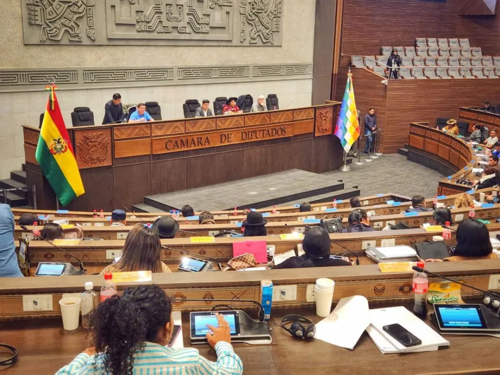 Una sesión de la Cámara de Diputados. Foto: Cámara de Diputados