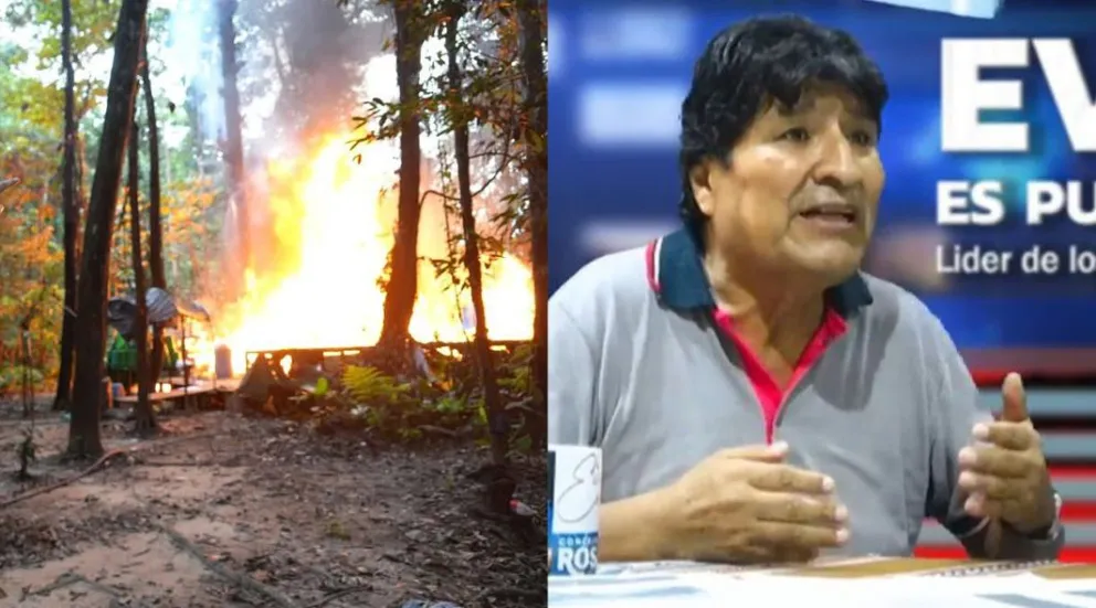 El operativo fue ejecutado el sábado en el Chapare. Foto: Composición