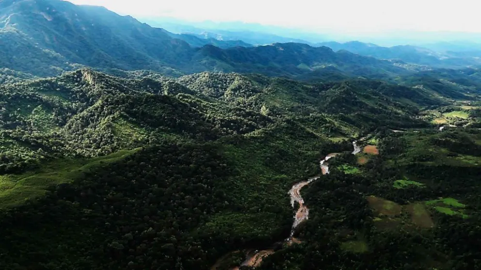 Reserva de flora y fauna de Tariquía. Foto: Sernap