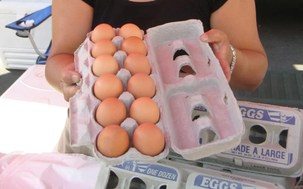 Fotografía de archivo en la que se registró el detalle de una docena de huevo que ofrece una vendedora en Nueva York. Foto: EFE