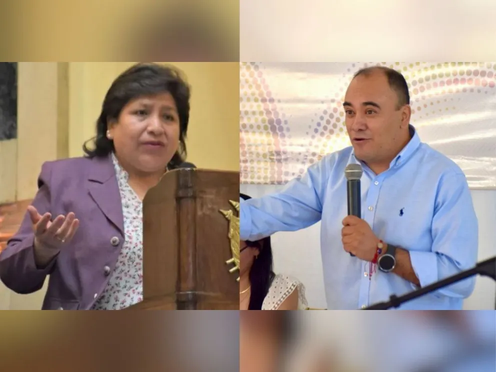 La exvocal Dina Chuquimia y el actual vocal del TSE, Gustavo Ávila. Fotos: TSE