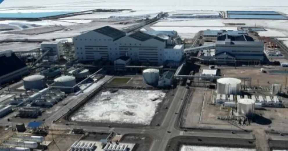 Planta en el salar de Uyuni.     Foto: YLB