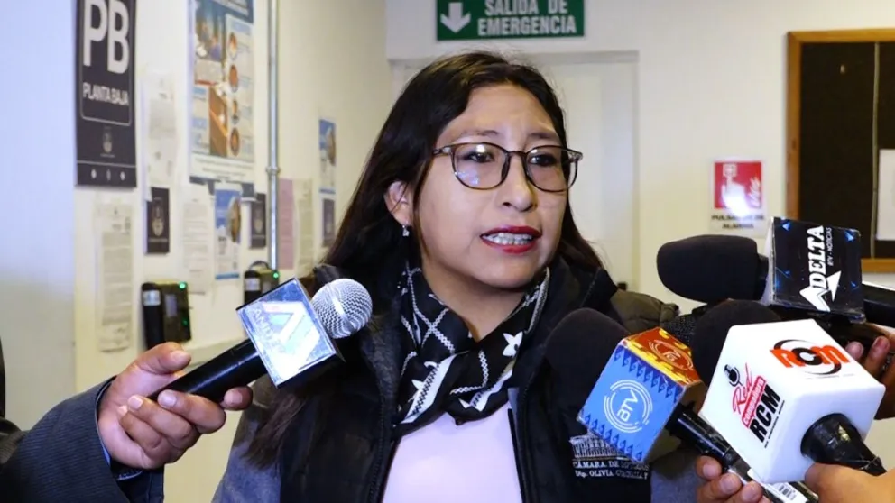La diputada “arcista” Olivia Guachalla . Foto: Captura de video