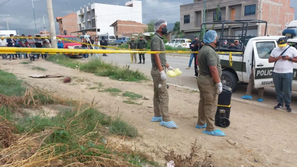 La cabeza fue arrastrada por los canes, y hallada por los vecinos. Foto: I Noticias