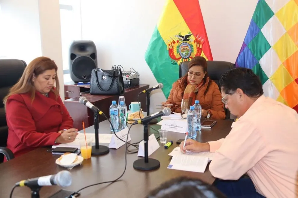 Sesión de la Comisión de Ética de la Cámara de Diputados, presidida por la diputada María José Rodríguez (centro). Foto: Cámara de Diputados