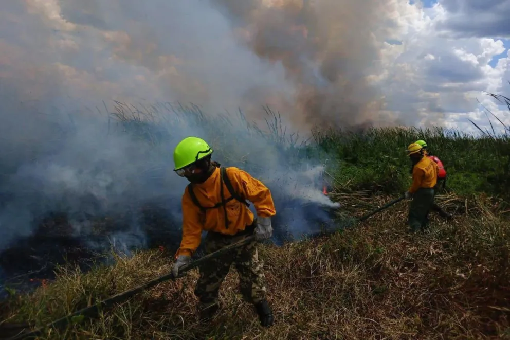 Imagen cedida por integrantes de bomberos forestales del Ejército paraguayo. Foto: EFE