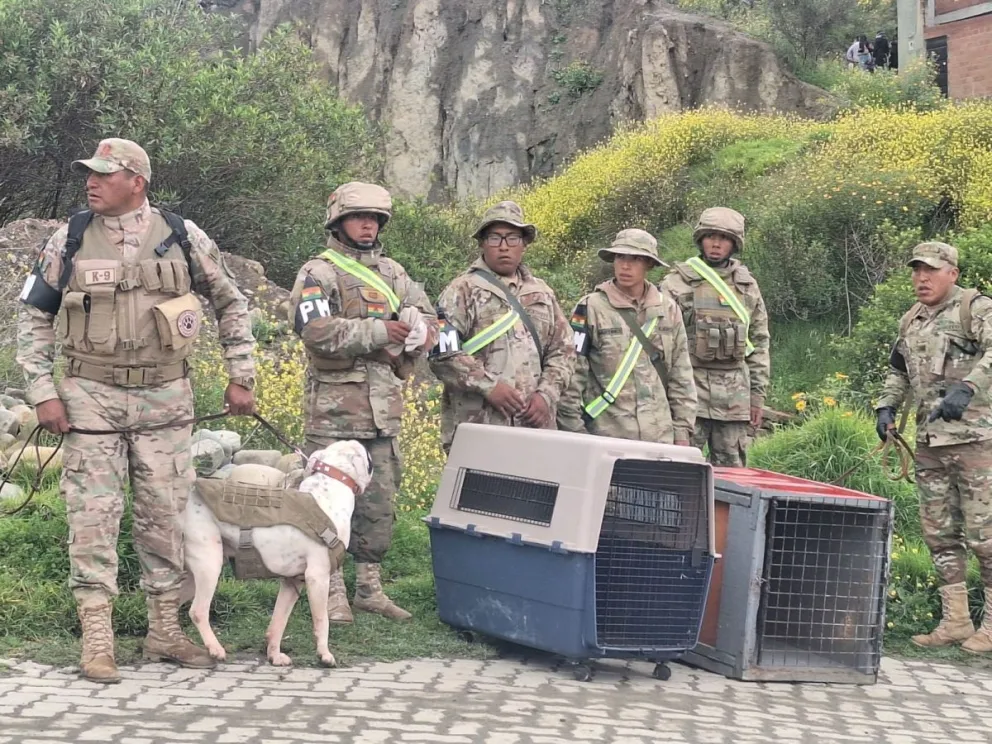Militares ayudan en la evacuación de las familias y de mascotas en la zona de Codavisa. Foto: Min. Defensa,