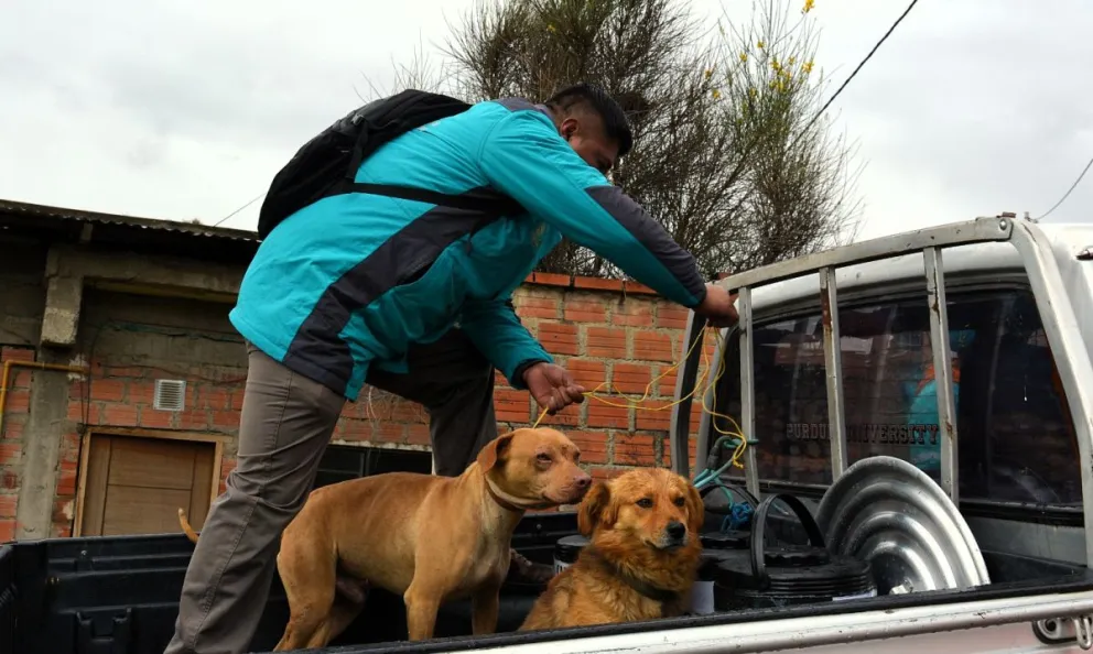 Los dos compañeros fieles son rescatados de la zona de deslizamiento.   Foto: Leny Chuquimia / Visión 360