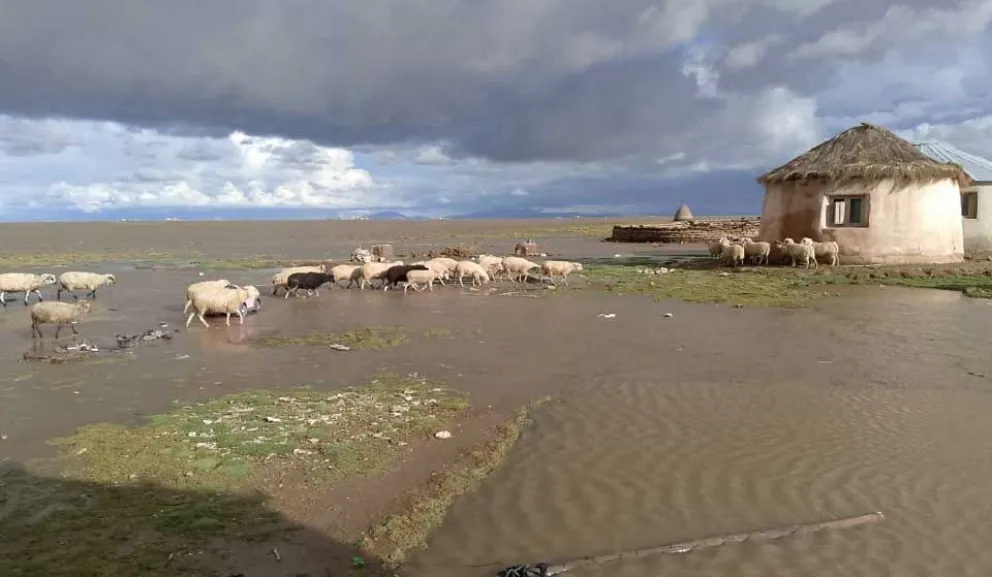 Una vista de la afectación en la nación Uru Chipaya, en Oruro. Foto: Erbol