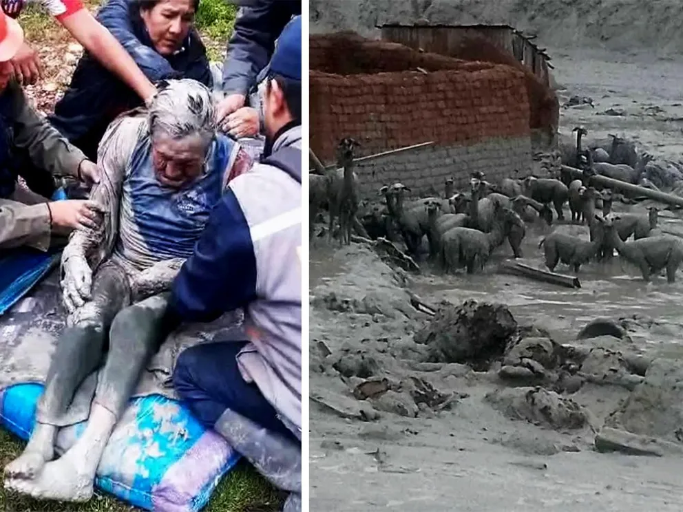 Una de las personas y llamas rescatadas de la mazamorra en Andavilque. Foto: Noticias Llallagua