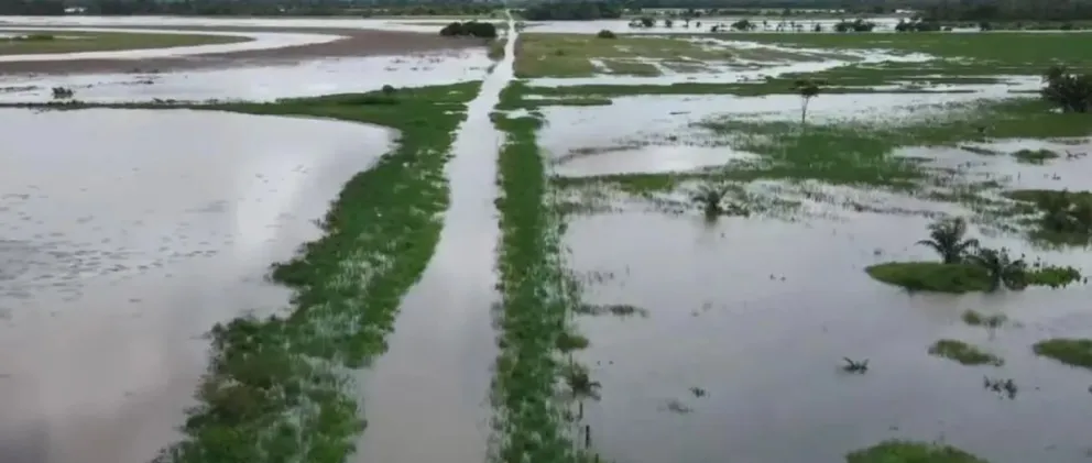 Los sembradíos fueron cubiertos por el agua,, tras el desborde del río Grande. Foto: Captura Video. 