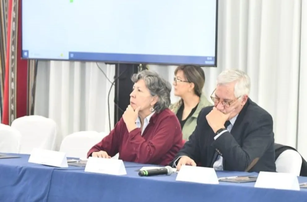La precandidata, Amparo Ballivian, en la reunión convocada por el Gobierno. Foto: APG