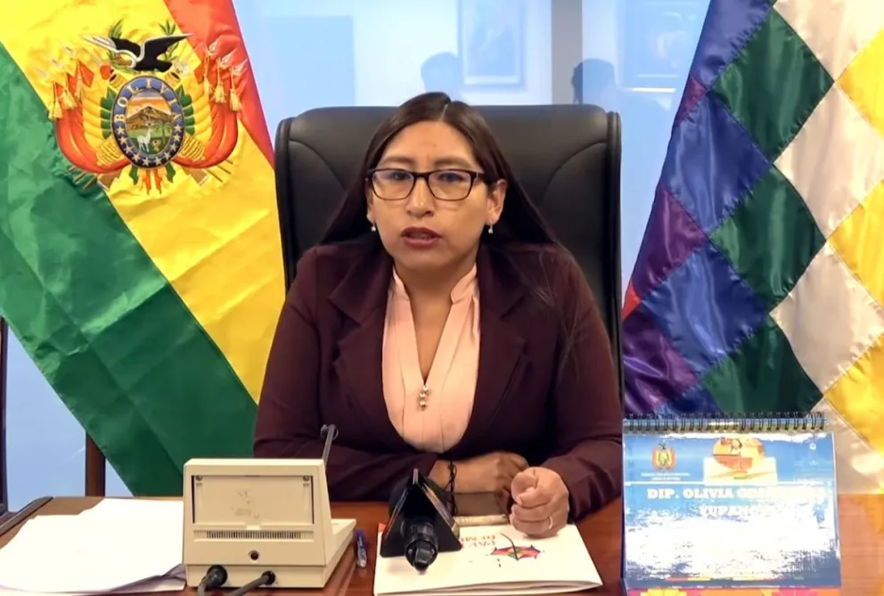 Olivia Guachalla, presidenta de la Comisión de Constitución de Diputados. Foto: Captura de video