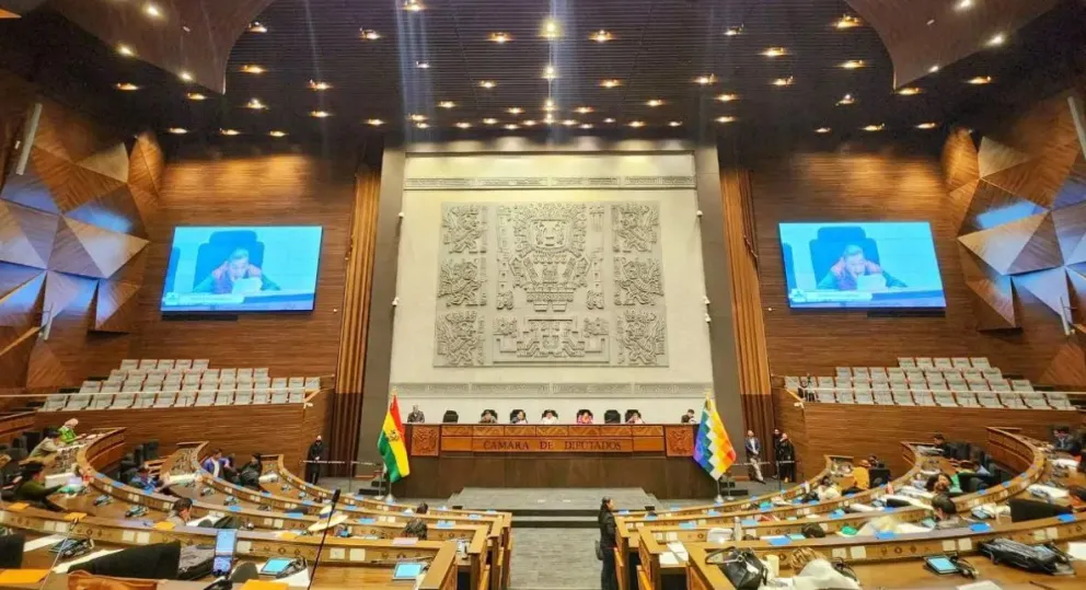 La sesión de este jueves en la Cámara Baja. Foto: Cámara de Diputados