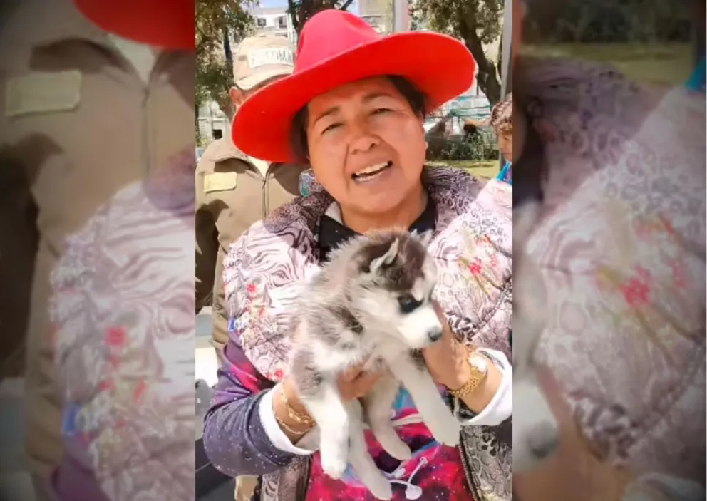 La denuncia la realizó este sábado Huellitas Bolivia en sus redes. 