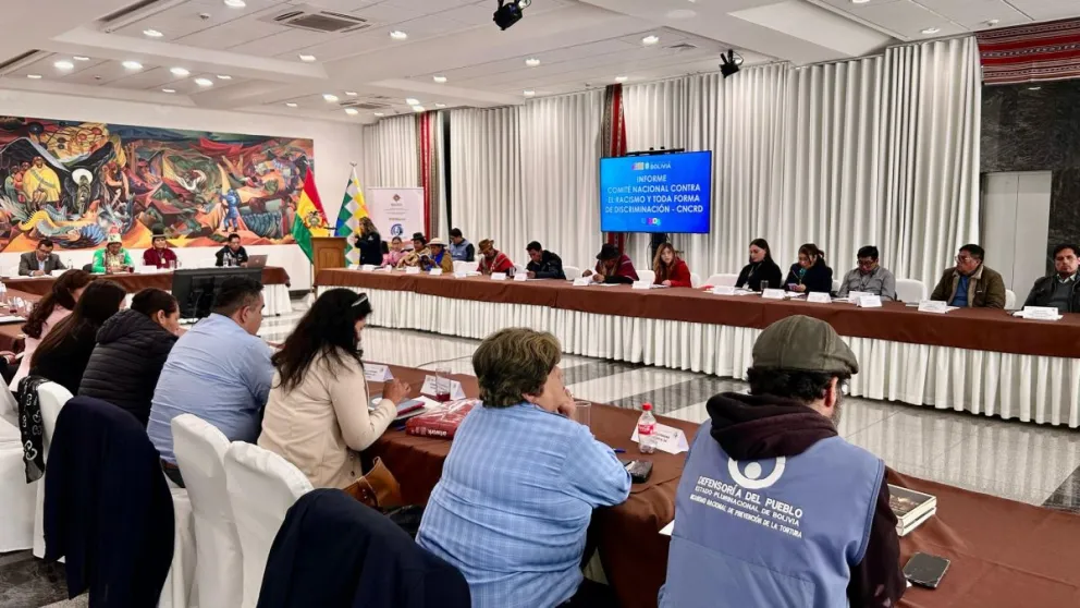 Sesión del Comité Nacional Contra el Racismo y Toda Forma de Discriminación 2025. Foto: Defensoría del Pueblo