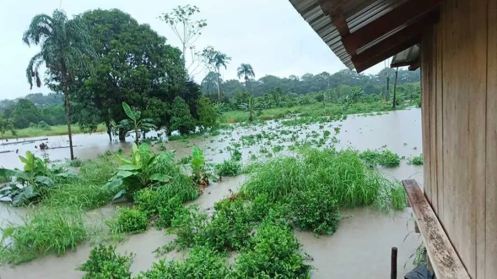 Campos inundados en el Trópico de Cochabamba. FOTO: ABI