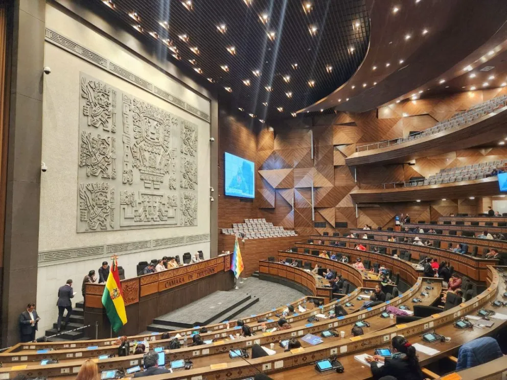 La sesión en la que se aprobó el proyecto, este jueves. Foto: RRSS de Diputados 