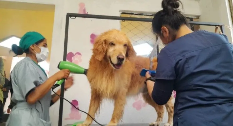 Es importante buscar sitios con personal capacitado.   Foto: APG 