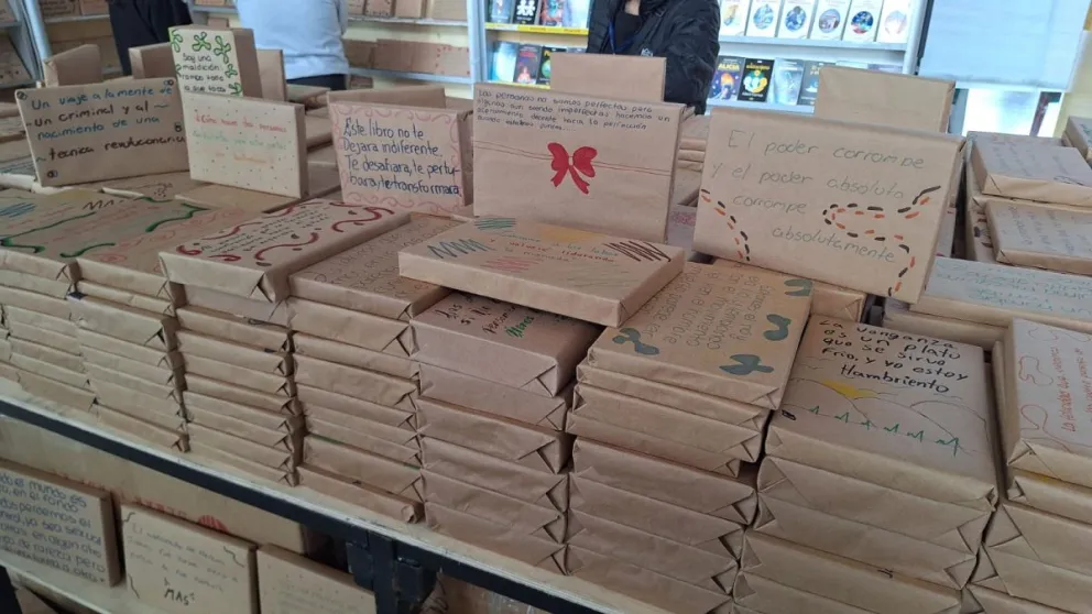 Los libros "camuflados". FOTO: Jorge Soruco / Visión 360