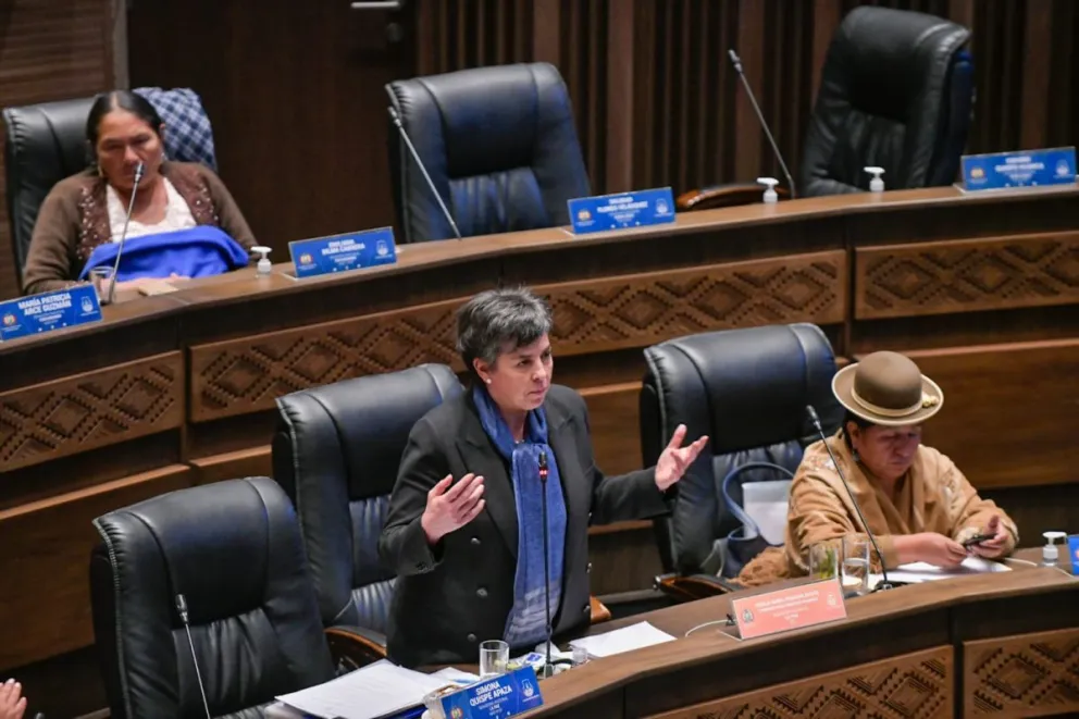 La senadora Cecilia Requena de CC en una intervención en la Cámara Alta. Foto: ABI
