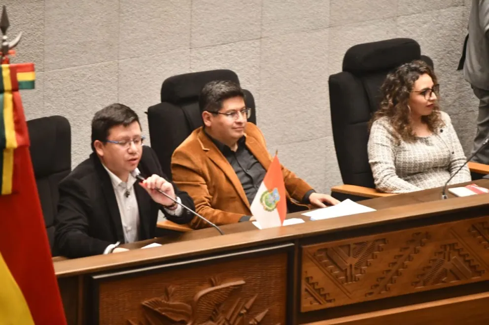 Los ministros de Planificación, Economía y de Salud, en la sesión del Legislativo. Foto: APG 