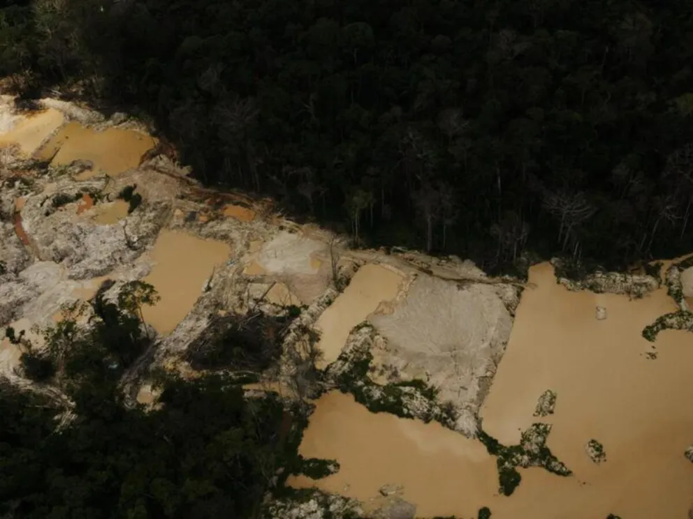 Imagen que acompaña el estudio de Greenpeace. Foto: EFE
