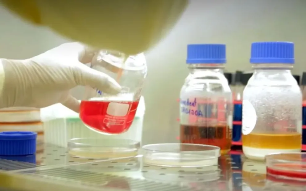 Producción de medicamentos en un laboratorio del país. Foto: Captura de video