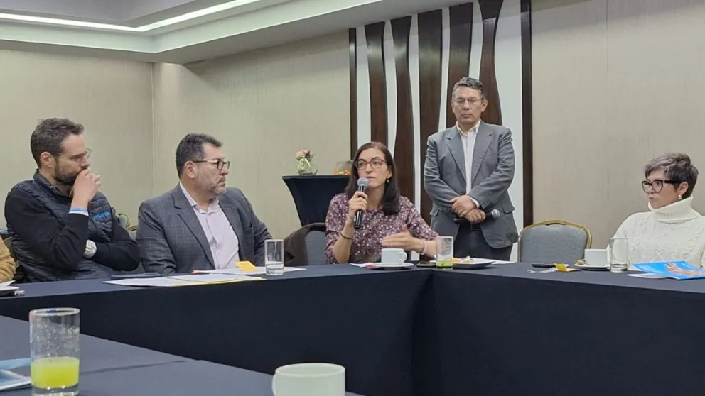 Virginia Pérez, Jefa de Protección de la Niñez y Adolescencia, de Unicef, en el planteamiento de prioridades. Foto. M. Belmonte