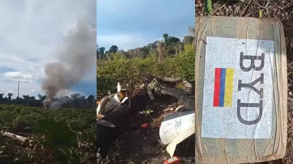 Los restos de la aeronave y parte del cargamento. Foto: RRSS