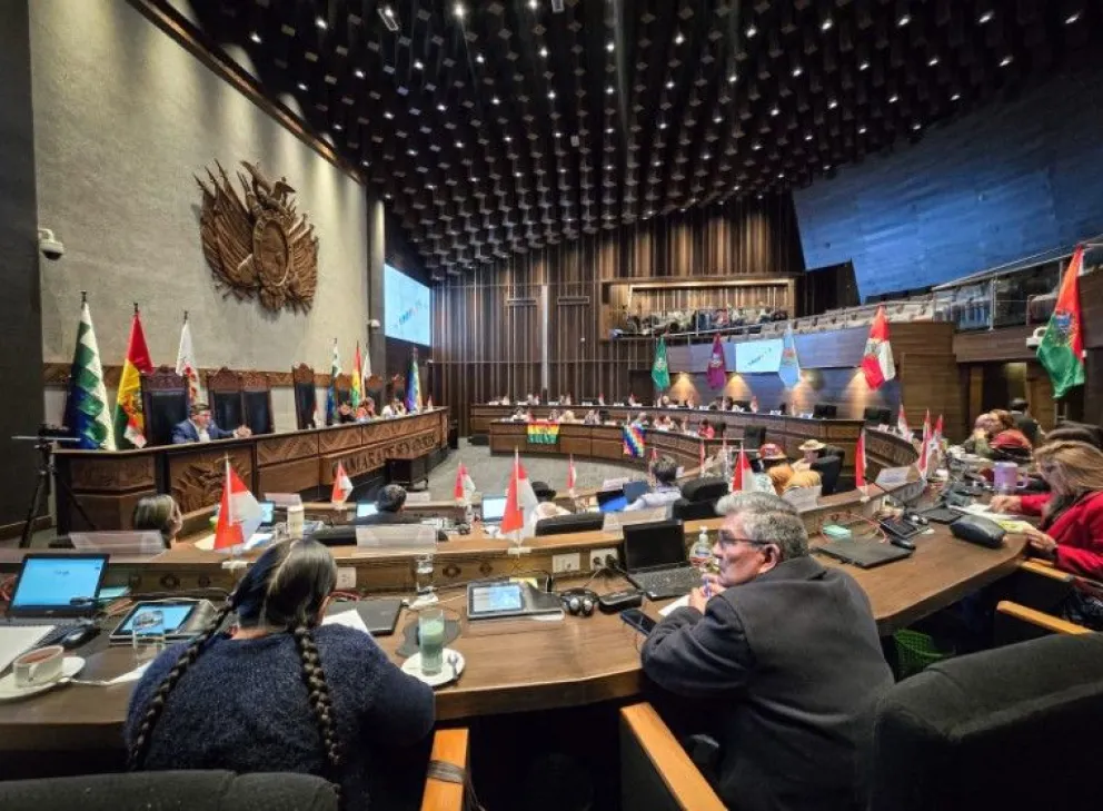 La sesión de la Cámaro del Senado. Foto: Prensa Senado