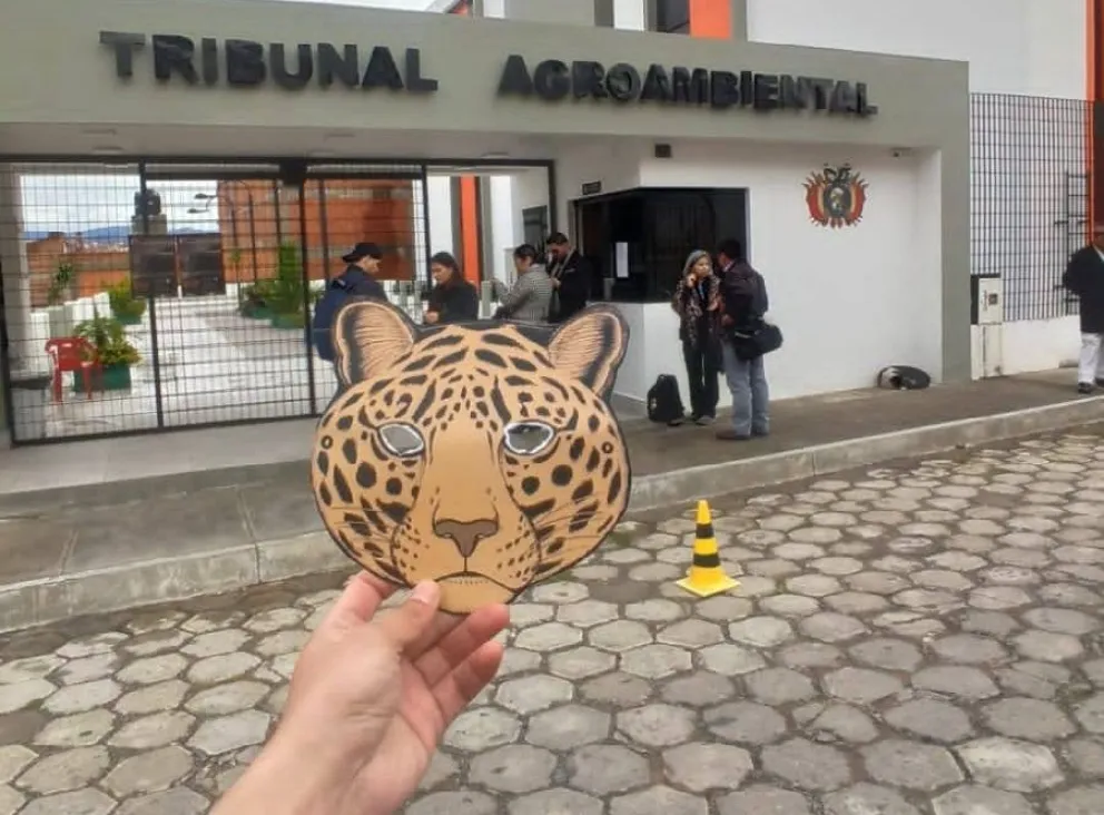 El Tribunal Agroambiental en Sucre. Foto: Amigos de la Naturaleza