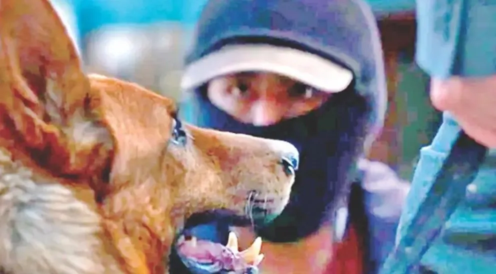 Una escena de la cinta. FOTO: Ibermedia