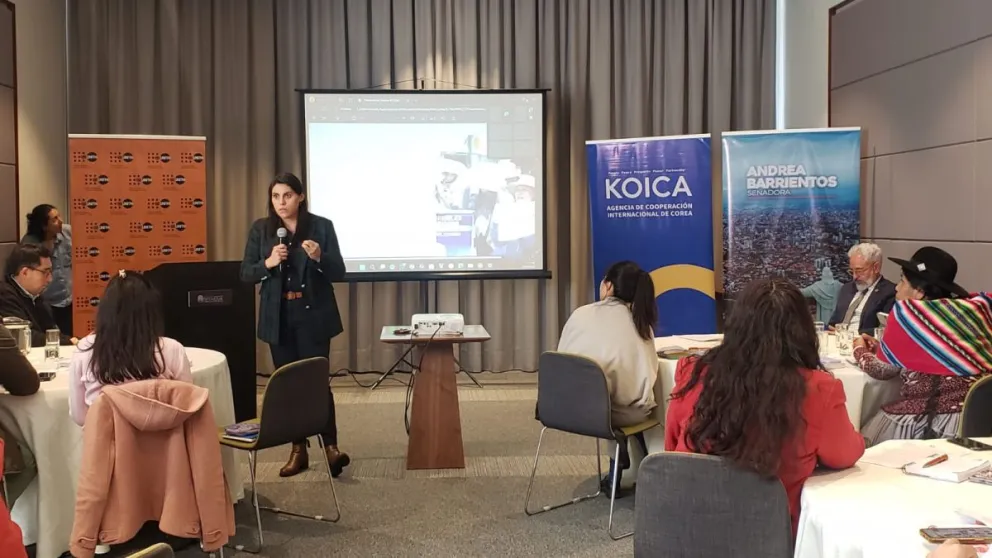 La senadora Andrea Barrientos durante un evento de socialización de la norma. Foto: Carlos Quisbert